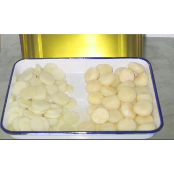 Canned Food Canned Water Chestnuts with Low Price
